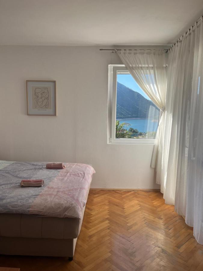 Cozy Apartment With The View Plužine Zewnętrze zdjęcie